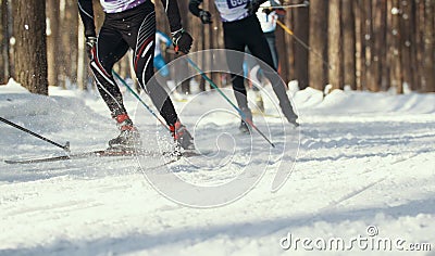 Ski competition - legs of sportsmen running on snowy sunny forest Stock Photo