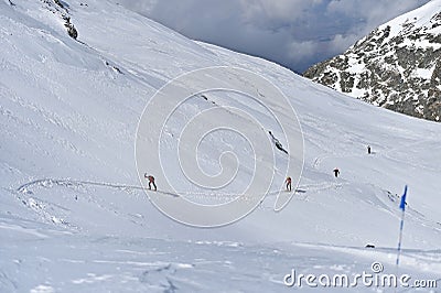 Ski mountaineer during competition in Carpathian Mountains Editorial Stock Photo