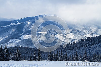 Ski resort Bukovel, Ukraine. Stock Photo