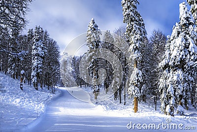 Ski resort Krasnaya Polyana SOCHI Stock Photo