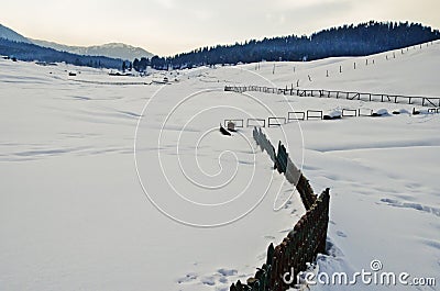 Ski resort in winter, Gulmarg, Jammu And Kashmir, India Stock Photo