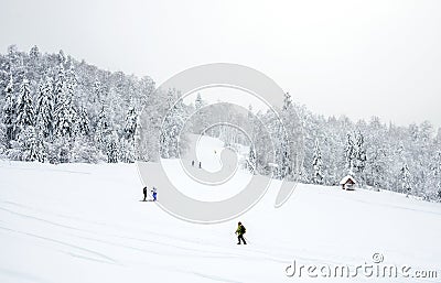 Ski slopes in the coniferous forest in 'Kolasin 1450' mountain ski resort Editorial Stock Photo