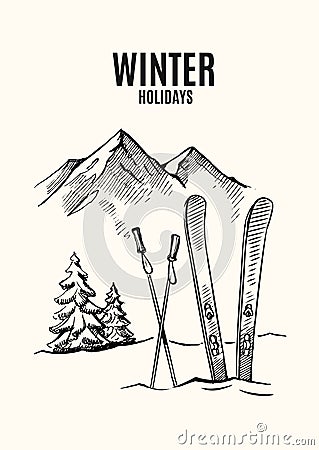 Ski in snow Vector Illustration