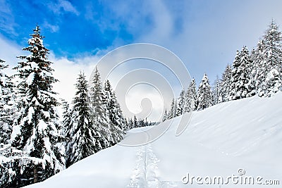 Ski touring track after snowfall in an idyllic place Stock Photo