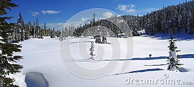 Strathcona Provincial Park, Vancouver Island, Landcape Panorama of Paradise Meadows, Forbidden Plateau, British Columbia, Canada Stock Photo