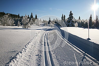 Ski trails Stock Photo