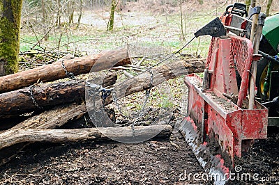 Skidding timber Stock Photo