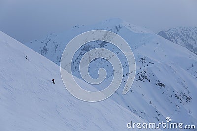 skier descends a difficult freeride route among rocks and trees Stock Photo