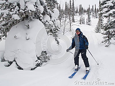 Skier down throw forest and snow Stock Photo