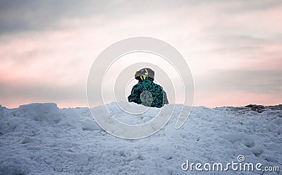 A skier and large pile of snow. Stock Photo