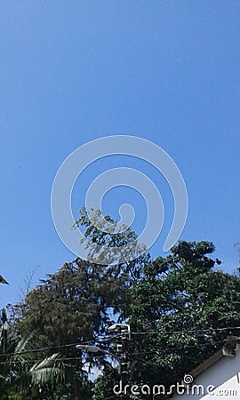 skies aand forest pereira Stock Photo