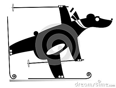 Skiing bear black on white illustration Vector Illustration