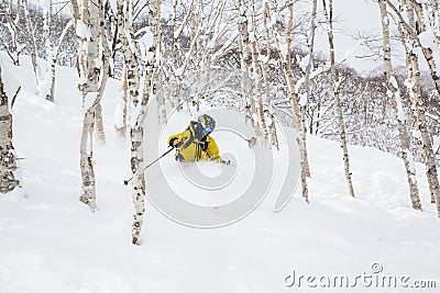 Skiing powder through aspen trees of Mount Niseko, Japan backcountry Stock Photo