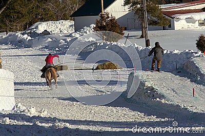 Skijoring fun in the wintertime Stock Photo