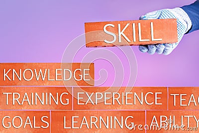 Skill concept. Stock Photo