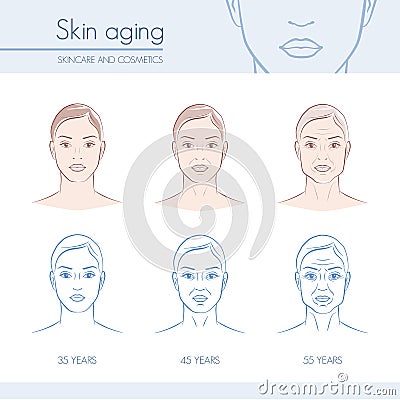 Skin aging Vector Illustration