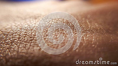 Skin background. Closeup human skin. Hand detail. Stock Photo