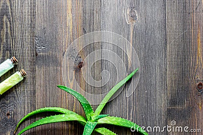 Skin care. Aloe vera leafs and spa salt on wooden background top view copyspace Stock Photo