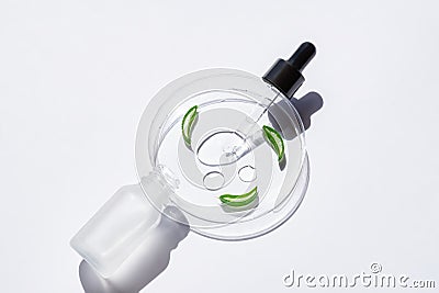 Skin care concept. Aloe vera gel with leafs in petri dish on white background top view with copyspace. Eco organic cometics Stock Photo