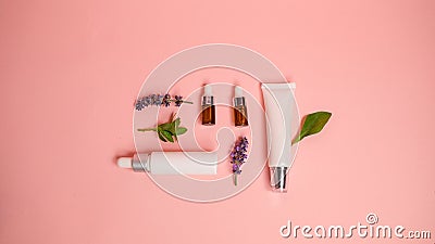 Skin care product on pink flat lay backgroung . organic beauty essential oil with herbal and lavender.aromatheraphy for wellness Stock Photo