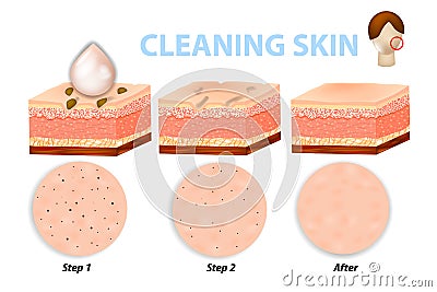 Skin cleaning steps. Vector Illustration