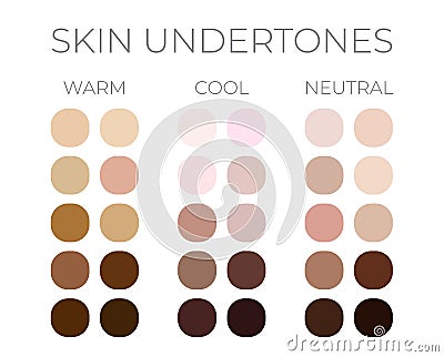 Skin Color Solid Swatches with Warm, Cool and Neutral Skin Undertones Vector Illustration