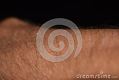 Skin hand human organ hair derma Stock Photo