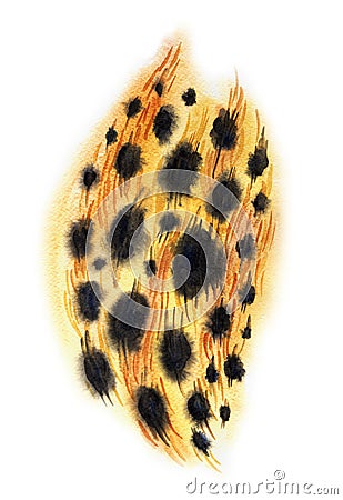 Skin of a leopard, watercolor drawing on a white background Stock Photo