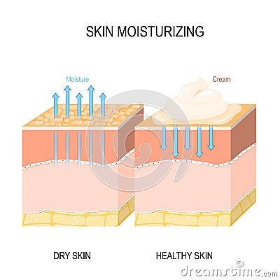 Skin moisturizing. Dry and healthy skin with cream, foam or lotion Vector Illustration