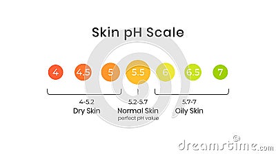 Skin pH value scale chart for normal, dry and oily. Indication of lipid barrier acid mantle. Acid-base balance from 4 to Vector Illustration