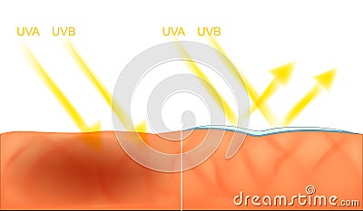 Skin protection from sunlight Vector Illustration