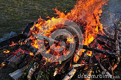 Skin of the ram on fire Stock Photo