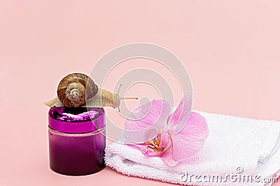 Skin rejuvenation cosmetics on pink background with snail, flower and white towel, snail mucin cream, skin hydration, beauty, spa Stock Photo