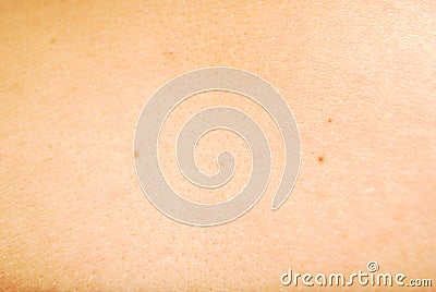 Skin Texture Stock Photo