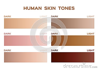 Skin tone color infographic / gradient Vector Illustration