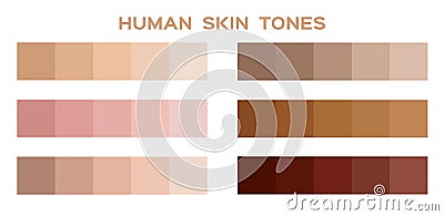 Skin tone color infographic Vector Illustration