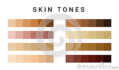 Skin tone color scale chart. Brown palette vector human skin infographic banner icon Vector Illustration