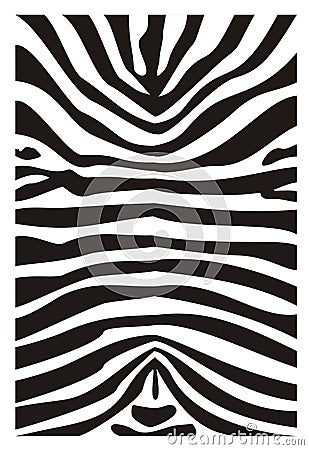 Skin of a zebra Vector Illustration