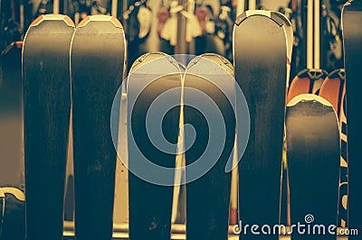 Skis in the rental winter shop Stock Photo