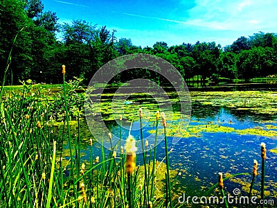 Skopje centar park Stock Photo