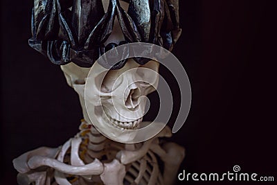 The skull in crown. Grim necromancer in Gothic crown. Black background, Halloween concept Stock Photo
