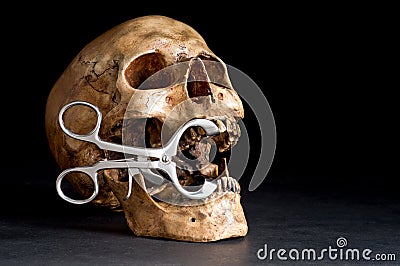 Skull with dentist pliers Stock Photo