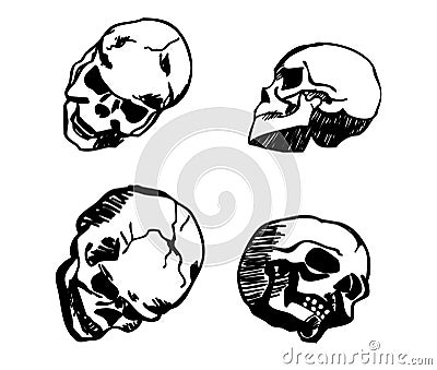 Skull in different positions hand drawing Vector Illustration