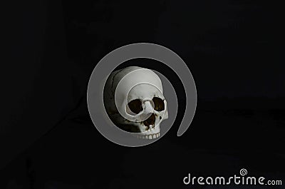 Skull Stock Photo