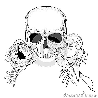 Skull with peony flowers boho graphic vector Vector Illustration