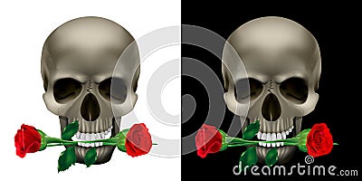 Skull with a rose in the teeth Vector Illustration