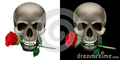 Skull with a rose in the teeth Vector Illustration