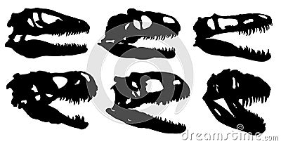 Skulls of dinosaurs. Vector Illustration