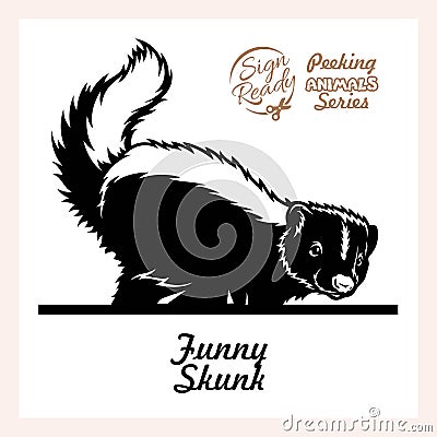 Skunk lifted its tail - Funny Skunk peeking out - face head isolated on white Vector Illustration