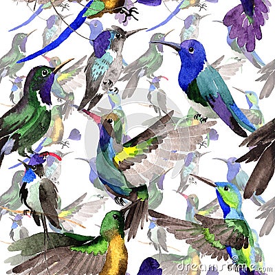 Sky bird colibri in a wildlife by watercolor style pattern. Stock Photo